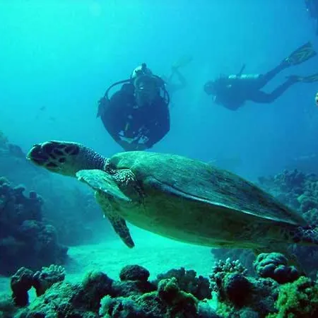 Eros Maisonette In Area Just 700 Meters Or One-minute Drive From Polis Municipal Lací