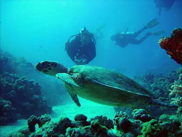 Eros Maisonette In Area Just 700 Meters Or One-minute Drive From Polis Municipal Lachi